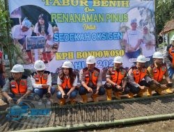 Perhutani Jatim Reboisasi Hutan dengan 50 Ribu Bibit Pinus, Upaya Sedekah Oksigen untuk Atasi Perubahan Iklim