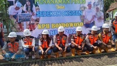 Perhutani Jatim Reboisasi Hutan dengan 50 Ribu Bibit Pinus, Upaya Sedekah Oksigen untuk Atasi Perubahan Iklim