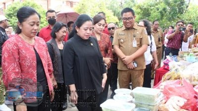 Pelaku UMKM Berharap DPR Dorong Pelatihan dan Permodalan untuk Hadapi Tantangan PPN 12%