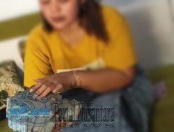 Viral! Penipuan Investasi Bodong Jual Beli Beras di Probolinggo Rugikan Korban hingga Ratusan Juta Rupiah
