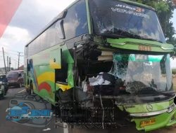 Hindari Motor Jatuh, Bus Gunung Harta Tabrak Dump Truk di Sampang: Dua Orang Terluka