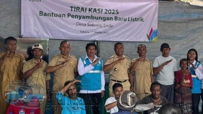 PLN untuk Rakyat, PLN Hadirkan Keadilan Energi Lewat Program Tirai Kasi di Kecamatan Ndona Timur, NTT, Terus Terangi Wilayah Terpencil