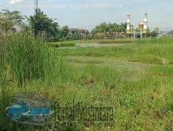 Hampir Empat Bulan Tergenang, Alun-Alun Blega Tak Kunjung Berfungsi Normal