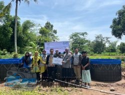 YBM PLN UIP JBTB Gencarkan Ketahanan Pangan untuk Pesantren di Bondowoso