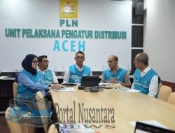 PLN Minta Maaf Pemulihan Listrik di Aceh Terhambat, Tetap Berkomitmen Percepat Penormalan