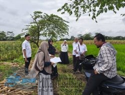 Perkuat Kepastian Hukum Aset Negara, PLN UIP JBTB Terima Sertipikat HGB Jalur SUTET 500 kV Ungaran–Pedan di Kabupaten Klaten
