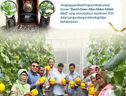 Wujudkan Inovasi Hijau Berkelanjutan, PLN UIP JBTB Sabet Penghargaan Platinum di Indonesia Green Awards 2026
