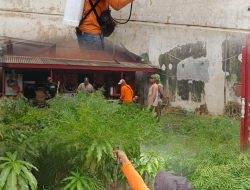 DLH Rayon Surabaya Timur Sigap Tangani Aduan Hama Ulat Bulu di Tambaksegaran Wetan