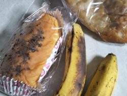 Program Makan Bergizi Gratis di SDN Manyar Sabrangan 2 Surabaya Disorot, Wali Murid Pertanyakan Kesesuaian Menu Ramadhan