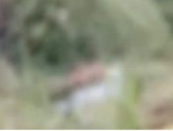 Penemuan Jasad Pria di Embong Cangka Bangkalan Gegerkan Warga, Identitas Korban Terungkap