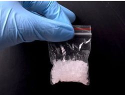 Polres Pamekasan Ringkus DPO Kasus Sabu, Buron Sejak 2025 Akhirnya Tertangkap