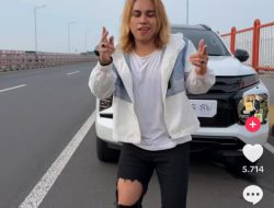 Viral! Kreator TikTok Hentikan Mobil di Jalur Cepat Jembatan Suramadu, Picu Kecaman dan Sorotan Polisi