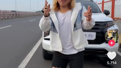 Viral! Kreator TikTok Hentikan Mobil di Jalur Cepat Jembatan Suramadu, Picu Kecaman dan Sorotan Polisi