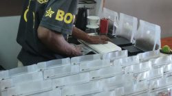 Moment Hari Buruh, PLN Peduli Bantu Kopi Tiom Papua Tembus Pasar Nasional dan Tingkatkan Penghasilan Petani