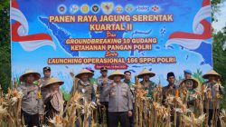 Sinergi Polri dan Kementan, Kapolres Pamekasan Pimpin Panen Jagung Serentak di Palengaan untuk Ketahanan Pangan Berkelanjutan