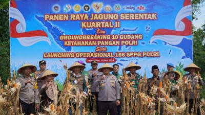 Sinergi Polri dan Kementan, Kapolres Pamekasan Pimpin Panen Jagung Serentak di Palengaan untuk Ketahanan Pangan Berkelanjutan