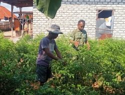 Babinsa Pademawu Imbau Pekerja Pabrik Utamakan Keselamatan di Tengah Cuaca Tak Menentu
