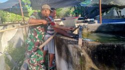 Dari Anjangsana ke Kolam Lele, Babinsa Dorong Budidaya Ikan Lebih Produktif