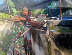 Dari Anjangsana ke Kolam Lele, Babinsa Dorong Budidaya Ikan Lebih Produktif