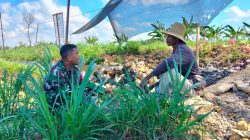 Turun ke Dusun, Babinsa Pademawu Gerakkan Warga Dukung Program Pangan Nasional