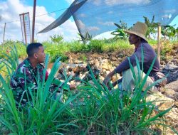 Turun ke Dusun, Babinsa Pademawu Gerakkan Warga Dukung Program Pangan Nasional