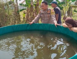 Perkuat Ketahanan Pangan, Polsek Benjeng Lakukan Pengecekan Kolam Lele di Bulurejo