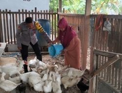 Polsek Benjeng Laksanakan Pemantauan Peternakan Bebek untuk Dukung Program Ketahanan Pangan Nasional