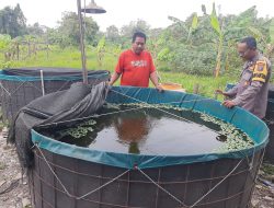 Polsek Kebomas Pantau Budidaya Lele di Sekarkurung untuk Dukung Swasembada Pangan