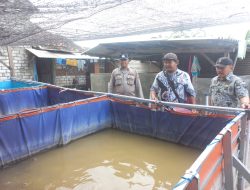Polsek Cerme Cek Kolam Budidaya Lele di Desa Dungus Dukung Program Presiden RI Wujudkan Swasembada Pangan