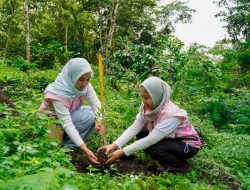 Srikandi PLN Icon Plus Jatim Peduli Lingkungan, Tanam 200 Bibit Pohon di Kaki Gunung Arjuno-Welirang