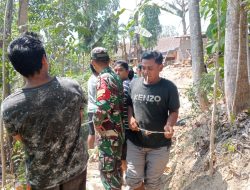 Cegah Bahaya, Babinsa dan Warga Kompak Tebang Pohon Lapuk