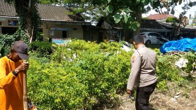 Polsek Dukun Lakukan Pengecekan Tanaman Cabai Dukung Program Swasembada Pangan di Gresik