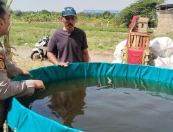 Mendukung Program Swasembada Pangan, Polsek Benjeng Lakukan Pengecekan Budidaya Ikan Lele di Bulurejo