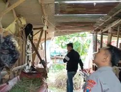 Polsek Benjeng Lakukan Monitoring Peternakan Kambing sebagai Wujud Dukungan Ketahanan Pangan Nasional
