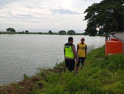 Polsek Duduksampeyan Laksanakan Pengecekan Pemeliharaan Ikan, Dukung Program Swasembada Pangan Nasional