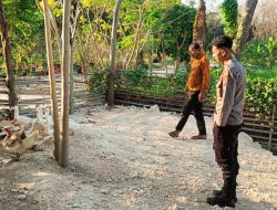 Polres Gresik Perkuat Ketahanan Pangan, Monitoring Peternakan Bebek di Panceng Dukung Swasembada Nasional