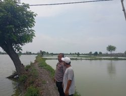 Polsek Duduksampeyan Monitoring Tambak Ikan di Desa Pandanan sebagai Bentuk Dukungan Program Swasembada Pangan Nasional