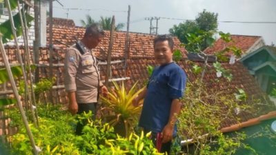 Dukung Swasembada Pangan, Polres Gresik Cek Lahan Cabe di Desa Babakbawo Dukun