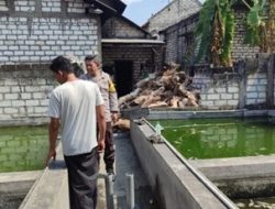 Dukung Ketahanan Pangan Nasional, Polsek Bungah Cek Budidaya Ikan Lele di Desa Indrodelik