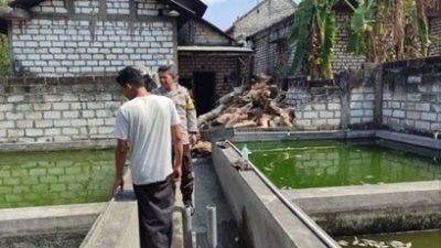 Dukung Ketahanan Pangan Nasional, Polsek Bungah Cek Budidaya Ikan Lele di Desa Indrodelik