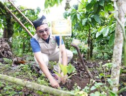 Mitigasi Longsor dan Dorong Ekonomi Warga, PLN UIP JBTB Salurkan Bantuan Konservasi 4.000 Pohon Aren Genjah Asal Aceh di Banyuwangi