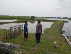 Polsek Duduksampeyan Laksanakan Monitoring Tambak Ikan di Wadak Kidul untuk Dukung Ketahanan Pangan