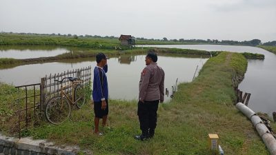 Polsek Duduksampeyan Laksanakan Monitoring Tambak Ikan di Wadak Kidul untuk Dukung Ketahanan Pangan