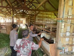 Polsek Manyar Cek Peternakan Kambing di Desa Peganden, Dukung Program Ketahanan Pangan