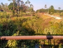 Pemerintah Pusat Prioritaskan Pangan. Irigasi di Sampang Dibiarkan Terbengkalai