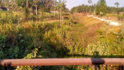 Pemerintah Pusat Prioritaskan Pangan. Irigasi di Sampang Dibiarkan Terbengkalai