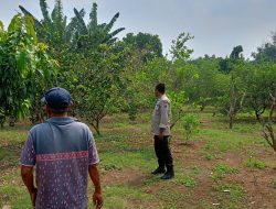 Polsek Dukun Cek Tanaman Jeruk, Dukung Program Ketahanan Pangan di Gresik