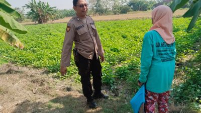 Polres Gresik Perkuat Ketahanan Pangan melalui Pengecekan Tanaman Kangkung di Benjeng