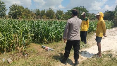 Pengecekan Tanaman Jagung di Desa Wadeng
