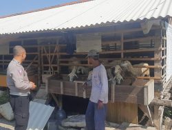 Dukung Program Asta Cita, Polsek Kebomas Terjunkan Personel Cek Peternakan Kambing di Dahanrejo